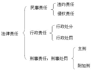 本节知识框架