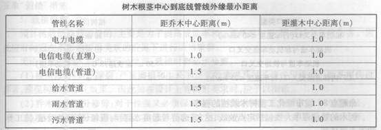 树木根茎中心到底线管线外缘最小距离