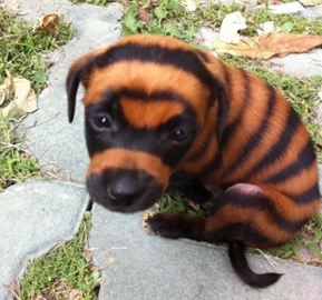 百步穿杨、直击要害，王竹梅带您笑傲“法”坛