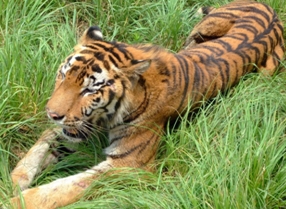 百步穿杨、直击要害，王竹梅带您笑傲“法”坛