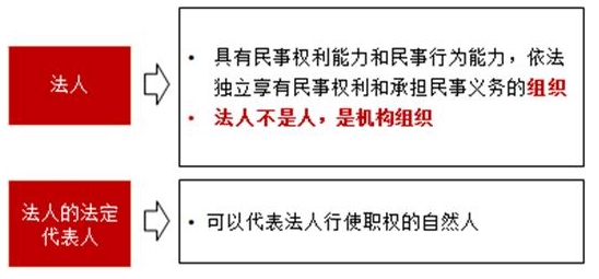 合同法律关系的构成