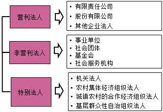 一级建造师法规知识点：法人制度