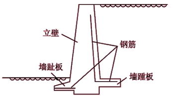 下图所示，B结构代表的是( )。