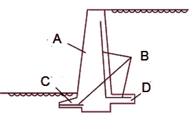 下图所示，B结构代表的是( )。