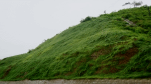 二级建造师考试知识点：防护与支挡工程类型