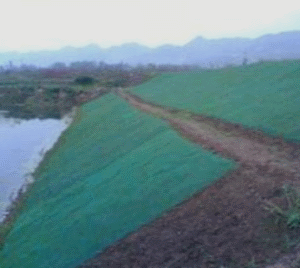 二级建造师考试知识点：防护与支挡工程类型